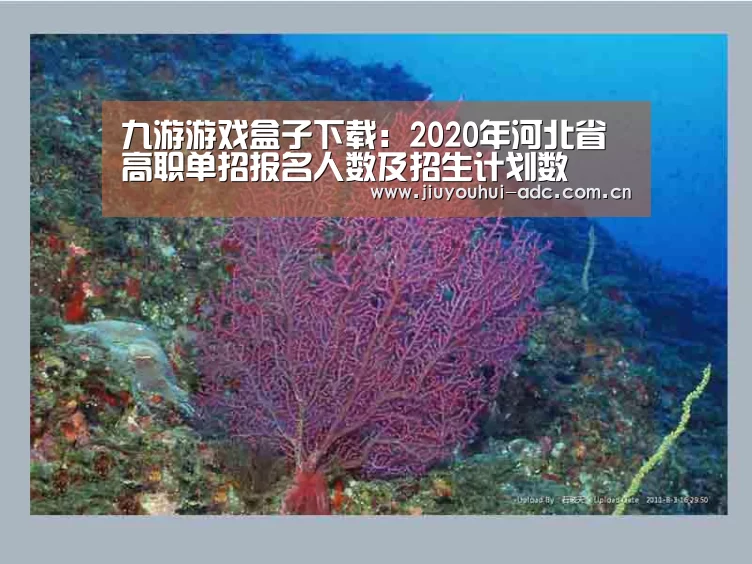九游游戏盒子下载：2020年河北省高职单招报名人数及招生计划数